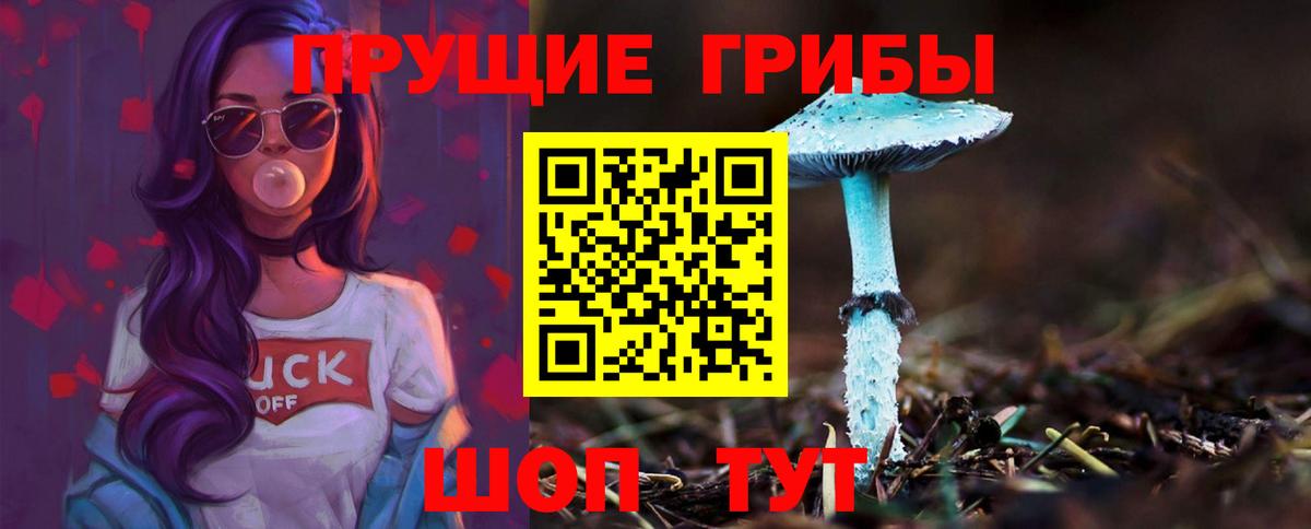 Псилоцибиновые грибы мицелий Бугуруслан